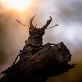 GEO LESERFOTO: Die besten Leserfotos: Juni 2020 - Bild 10