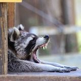 GEO LESERFOTO: Die besten Leserfotos: Juni 2020 - Bild 9