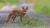 GEO LESERFOTO: Die besten Leserfotos: Juni 2020 - Bild 7