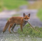 GEO LESERFOTO: Die besten Leserfotos: Juni 2020 - Bild 7