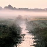 GEO LESERFOTO: Die besten Leserfotos: Juni 2020 - Bild 6