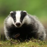 GEO LESERFOTO: Die besten Leserfotos: Juni 2020 - Bild 4