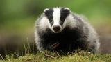 GEO LESERFOTO: Die besten Leserfotos: Juni 2020 - Bild 4