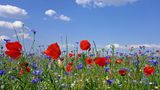 GEO LESERFOTO: Die besten Leserfotos: Juni 2020 - Bild 2
