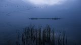 Neue Wildnis