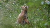 GEO LESERFOTO: Die besten Leserfotos: Juli 2020 - Bild 21