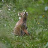 GEO LESERFOTO: Die besten Leserfotos: Juli 2020 - Bild 21