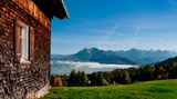 Bregenzer Wald
