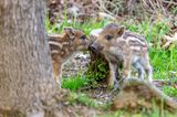 GEO LESERFOTO: Die besten Leserfotos: Juli 2020 - Bild 10