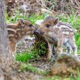 GEO LESERFOTO: Die besten Leserfotos: Juli 2020 - Bild 10