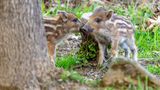 GEO LESERFOTO: Die besten Leserfotos: Juli 2020 - Bild 10