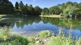 Wild Swimming Deutschland