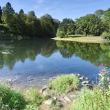 Wild Swimming Deutschland
