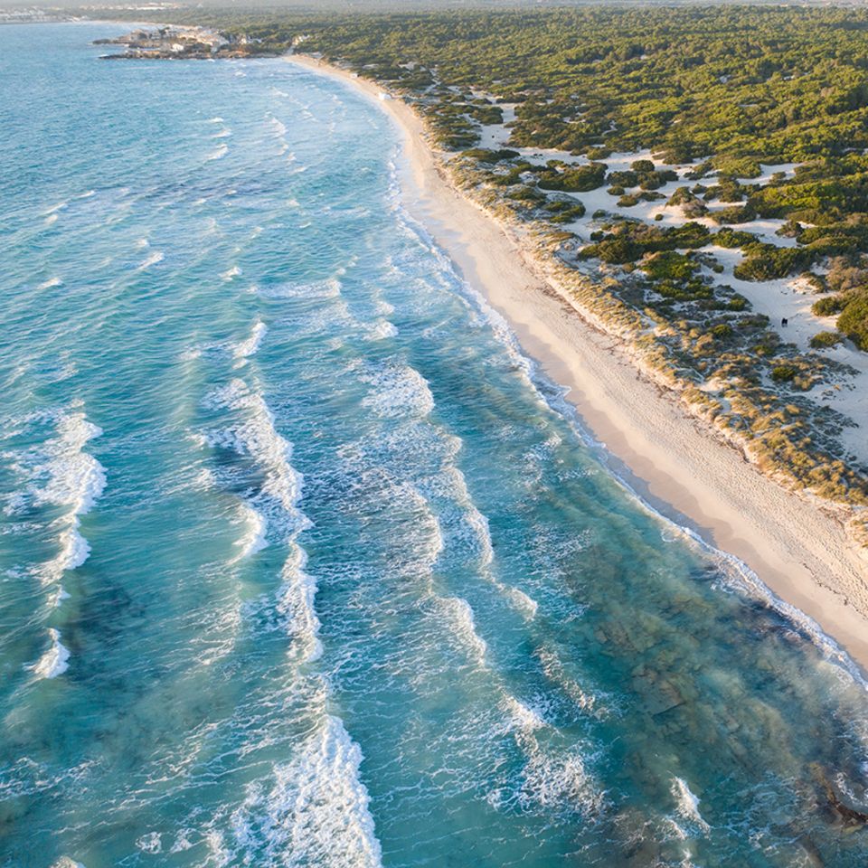 Für Strandläufer: Playa Es Trenc