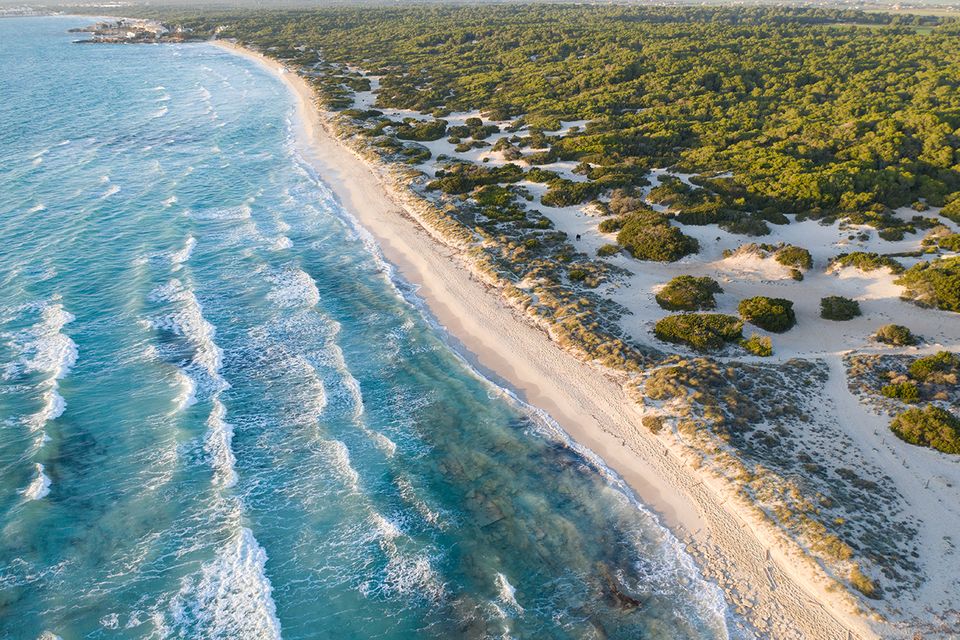 Für Strandläufer: Playa Es Trenc  1.5006