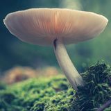 GEO LESERFOTO: Die besten Leserfotos: Juli 2020 - Bild 4