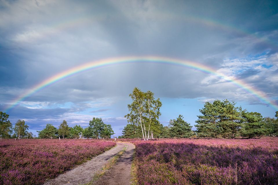 GEO LESERFOTO: Die besten Leserfotos: Juli 2020