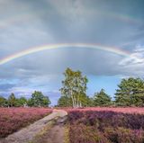 GEO LESERFOTO: Die besten Leserfotos: Juli 2020