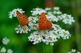 GEO LESERFOTO: Die besten Leserfotos: August 2020 - Bild 22