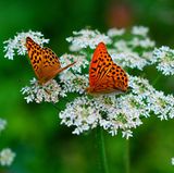 GEO LESERFOTO: Die besten Leserfotos: August 2020 - Bild 22