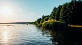Markkleeberger See