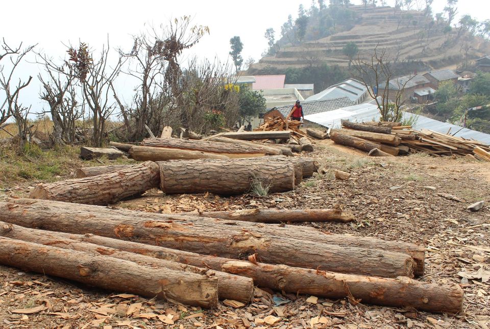 Nepal: Noch ist der Wiederaufbau der Häuser nicht abgeschlossen, auch in Danda Basaha ist der Holzbedarf daher groß Noch ist der Wiederaufbau der Häuser nach dem Erdbeben nicht abgeschlossen, auch in Danda Basaha ist der Holzbedarf daher groß