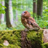 GEO LESERFOTO: Die besten Leserfotos: August 2020 - Bild 17