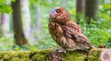 GEO LESERFOTO: Die besten Leserfotos: August 2020 - Bild 17
