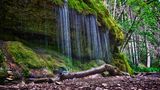 Schluchtensteig: Wandern mit Wassernebel