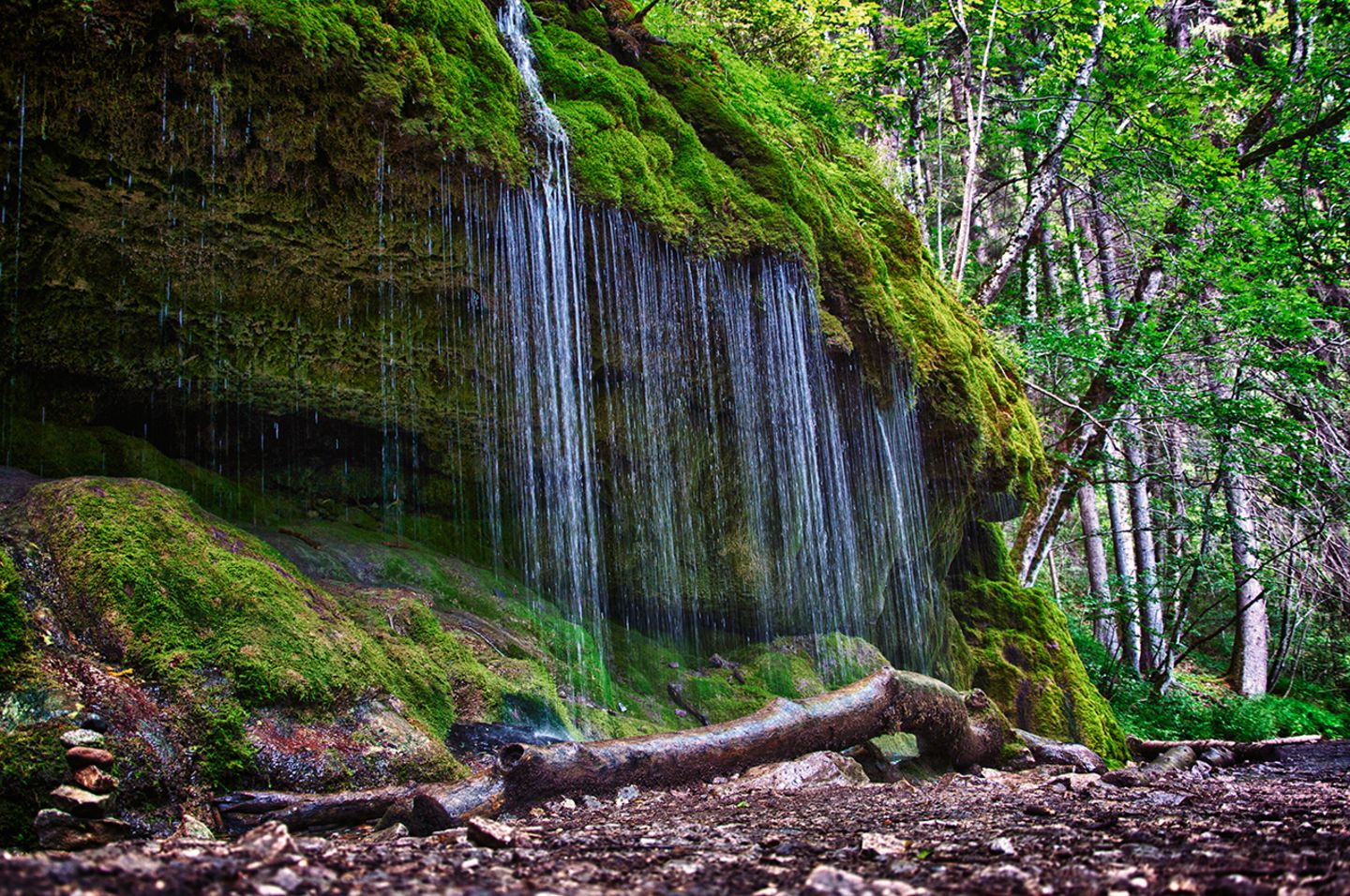 Schluchtensteig: Wandern mit Wassernebel