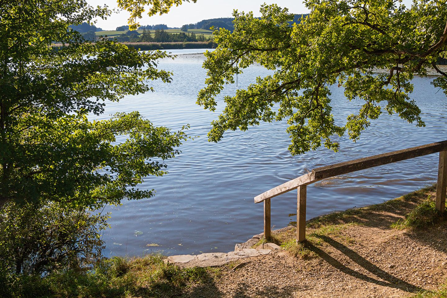 Maisinger See