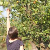 Die Zero-Waste-App mit Mundraub-Karte