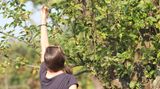 Die Zero-Waste-App mit Mundraub-Karte