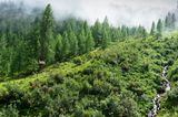 GEO LESERFOTO: Die besten Leserfotos: August 2020 - Bild 15