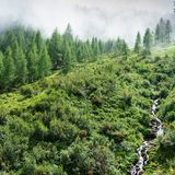 GEO LESERFOTO: Die besten Leserfotos: August 2020 - Bild 15