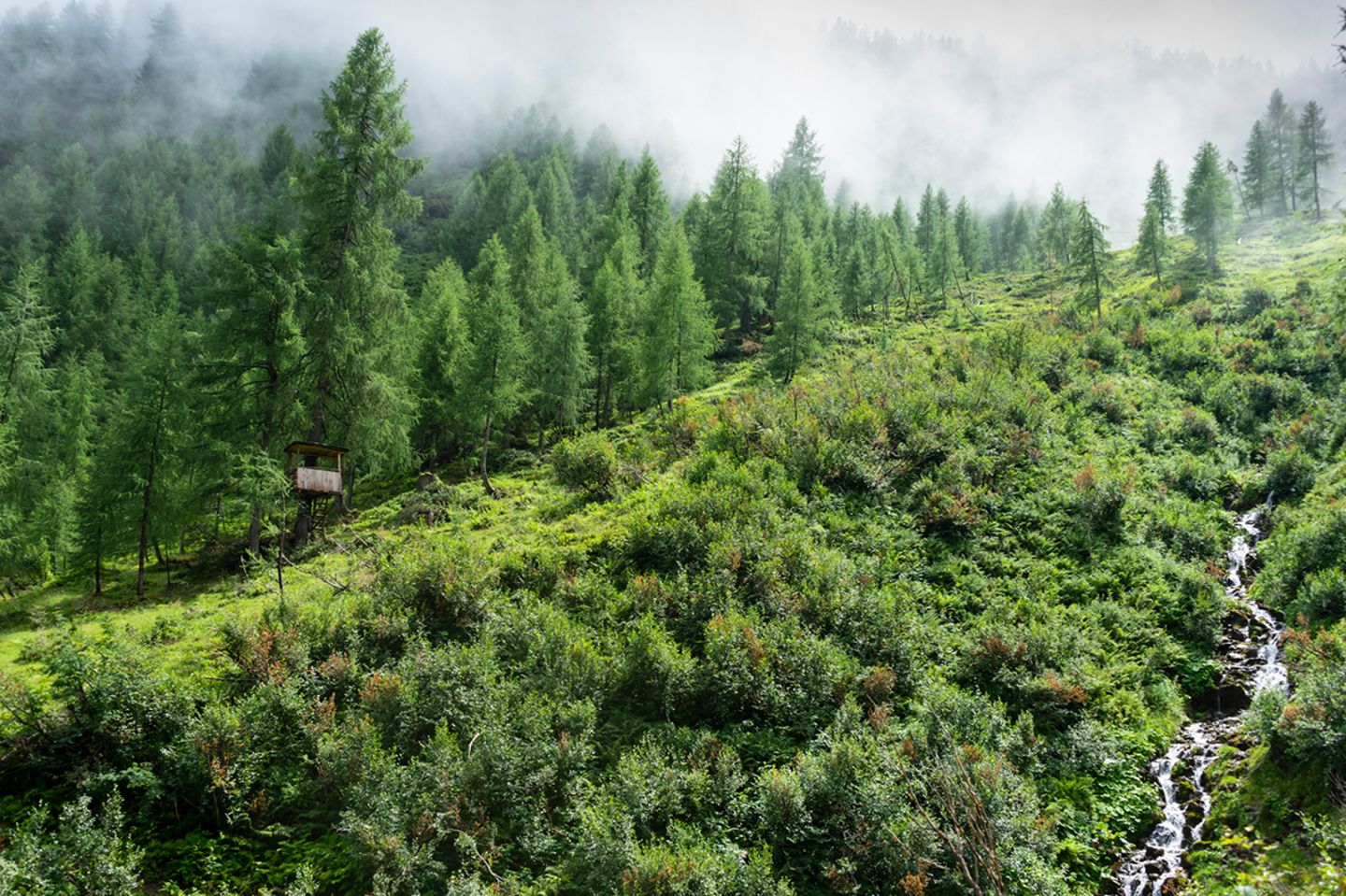 GEO LESERFOTO: Die besten Leserfotos: August 2020 - Bild 15
