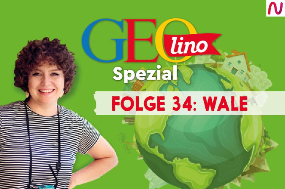 GEOlino Spezial - der Wissenspodcast: Folge 34: Wale