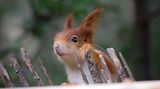 GEO LESERFOTO: Die besten Leserfotos: August 2020 - Bild 11