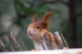 GEO LESERFOTO: Die besten Leserfotos: August 2020 - Bild 11