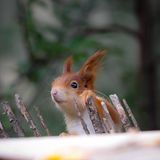 GEO LESERFOTO: Die besten Leserfotos: August 2020 - Bild 11