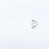 Rotkopf-Regenpfeifer