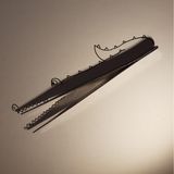 Schattenkroko von Eva, 14 Jahre, aus Wangen