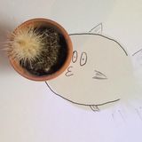 Kaktuskugelfisch von Anastasia, 12 Jahre, und Zoe, 10 Jahre, aus Bad Homburg