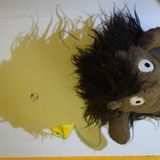 Wuschelente von Eliso, 7 Jahre