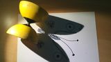 Diabolo-Schmetterling von Anna Mara, 13 Jahre, aus Windisch in der Schweiz