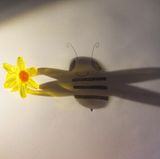 Vom Blümchen zum Bienchen von Minttu, 9 Jahre, aus St. Gallen in der Schweiz