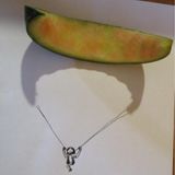 Melonenschirmflieger von Mona, 11 Jahre