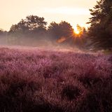 GEO LESERFOTO: Die besten Leserfotos: August 2020 - Bild 10