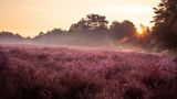 GEO LESERFOTO: Die besten Leserfotos: August 2020 - Bild 10