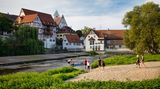 Donauinsel Riedlingen